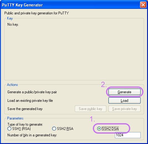 
			Generate dsa keys.
        